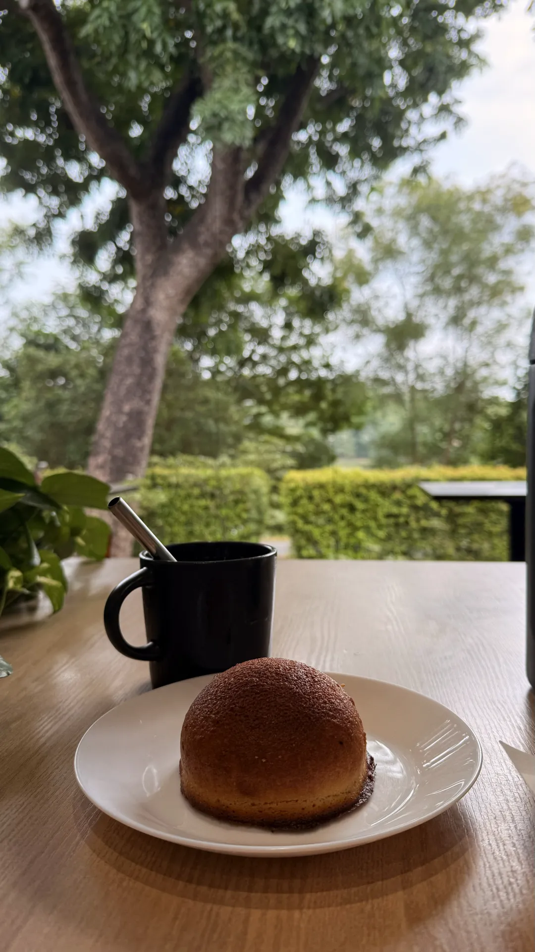 Hidden Cafe in Yishun 🍃🌿