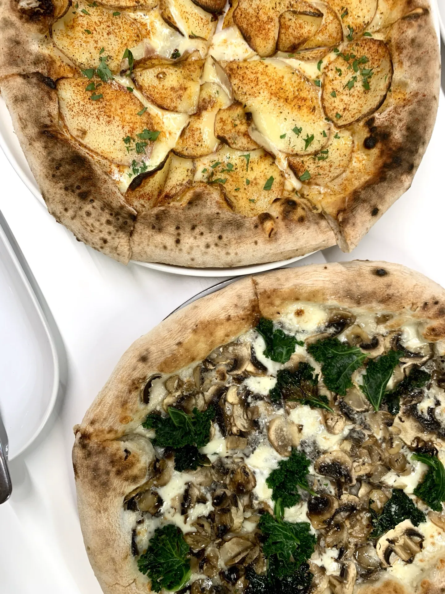 neighbourhood pizza joint 🍕🤫